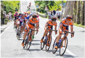 网页电话直接拨打